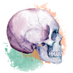Skull Temporary Tattoos